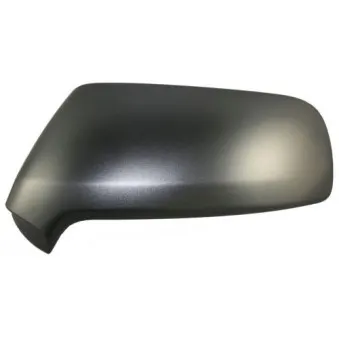 Revêtement, rétroviseur extérieur ABAKUS 0507C04