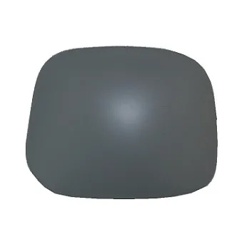 Revêtement, rétroviseur extérieur ABAKUS 0529C02