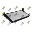 Intercooler, échangeur ABAKUS 053-018-0010 - Visuel 1