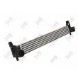 Intercooler, échangeur ABAKUS 053-018-0011 - Visuel 1