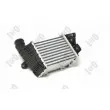 Intercooler, échangeur ABAKUS 053-018-0016 - Visuel 1
