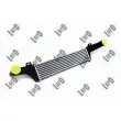 Intercooler, échangeur ABAKUS 054-018-0004 - Visuel 1