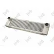 Intercooler, échangeur ABAKUS 054-018-0016 - Visuel 1