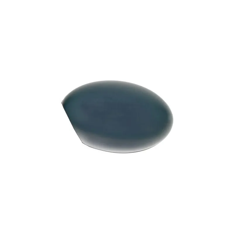 Revêtement, rétroviseur extérieur ABAKUS 2501C01