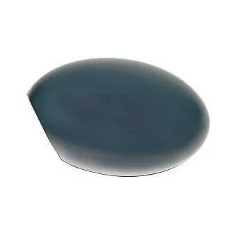 Revêtement, rétroviseur extérieur ABAKUS 2501C02