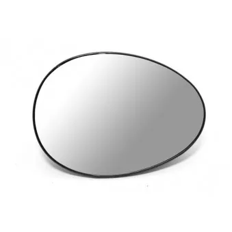 Verre de rétroviseur, rétroviseur extérieur ABAKUS 2502G02