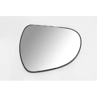 Verre de rétroviseur, rétroviseur extérieur ABAKUS 2911G03