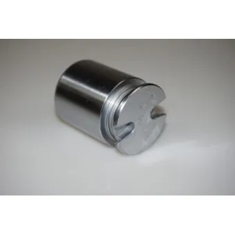 Piston, étrier de frein LTD LTD-102