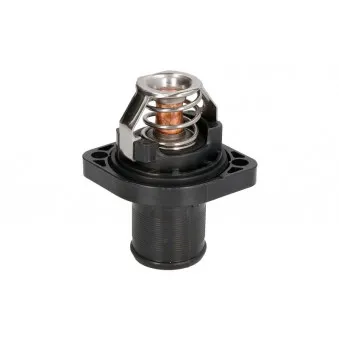 Thermostat d'eau THERMOTEC D2C003TT