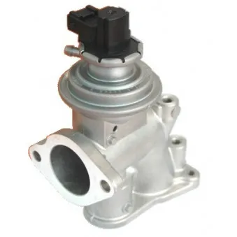 Vanne EGR MEAT & DORIA 88105E