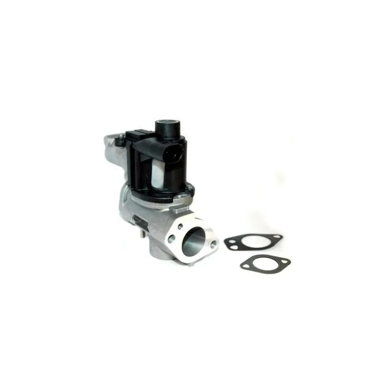 Vanne EGR MEAT & DORIA 88250E