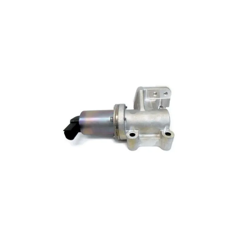 Vanne EGR MEAT & DORIA 88304R