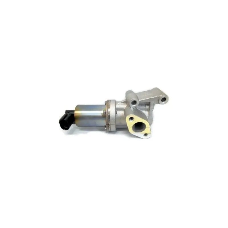 Vanne EGR MEAT & DORIA 88305E