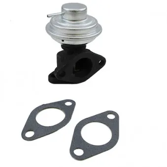 Vanne EGR MEAT & DORIA 88480