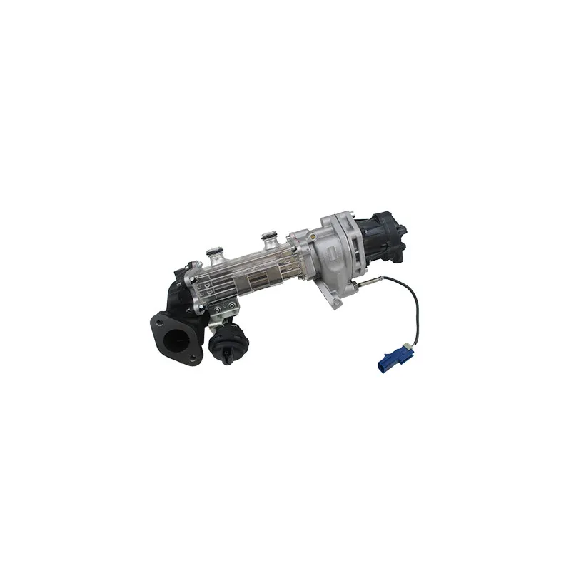 Module-EGR MEAT & DORIA 88762