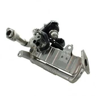 Module-EGR MEAT & DORIA 88802