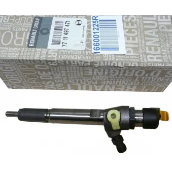 Injecteur OE 166001225R