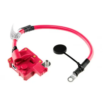 Adaptateur de batterie TEKNÖR