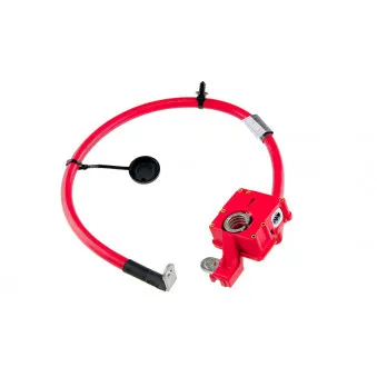 Adaptateur de batterie TEKNÖR EBP-BM-003