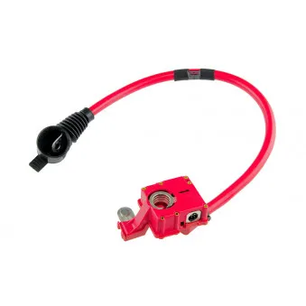 Adaptateur de batterie TEKNÖR EBP-BM-005