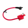 Adaptateur de batterie TEKNÖR EBP-BM-005 - Visuel 2
