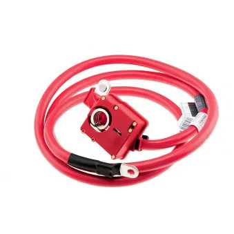 Adaptateur de batterie TEKNÖR EBP-BM-007