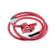 Adaptateur de batterie TEKNÖR EBP-BM-007 - Visuel 2