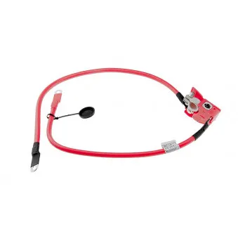 Adaptateur de batterie TEKNÖR EBP-BM-008
