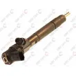 Injecteur BOSCH 0 445 110 019 - Visuel 1