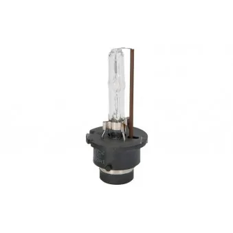 Ampoule Xénon D2S MAMMOOTH