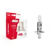 Lot de 2 Ampoules halogène H1 AMIO 01401 - Visuel 1