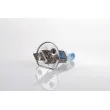 Lot de 2 Ampoules halogène H1 AMIO 01404 - Visuel 3