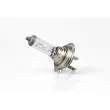 Ampoule halogène H7 12V 55W AMIO 01156 - Visuel 2