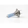 Ampoule halogène H7 AMIO 01157 - Visuel 2