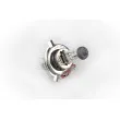Ampoule halogène H4 AMIO 01268 - Visuel 3