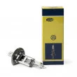 Ampoule, projecteur longue portée MAGNETI MARELLI 002551100000 - Visuel 1