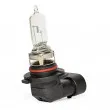 Ampoule, projecteur longue portée MAGNETI MARELLI 002577200000 - Visuel 3