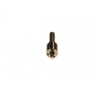 Buse/Gicleur/Injecteur BOSCH 0 433 171 690