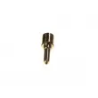 Buse/Gicleur/Injecteur BOSCH 0 433 171 755 - Visuel 1