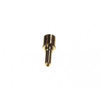 Buse/Gicleur/Injecteur BOSCH 0 433 171 755