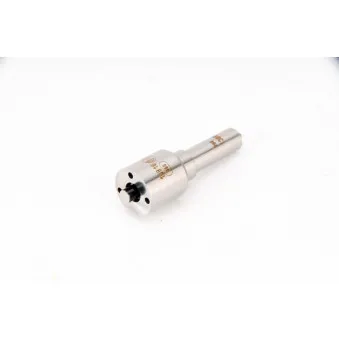 Buse/Gicleur/Injecteur BOSCH 0 433 171 817