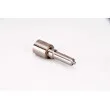 Buse/Gicleur/Injecteur BOSCH 0 433 171 817 - Visuel 2
