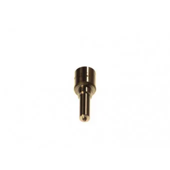 Buse/Gicleur/Injecteur BOSCH 0 433 171 855