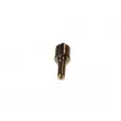 Buse/Gicleur/Injecteur BOSCH 0 433 171 889 - Visuel 2