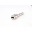 Nez d'injecteur BOSCH 0 433 175 163 - Visuel 1