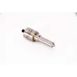 Nez d'injecteur BOSCH 0 433 175 163 - Visuel 2