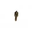 Buse/Gicleur/Injecteur BOSCH 0 433 175 253 - Visuel 2