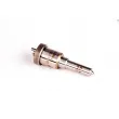 Nez d'injecteur BOSCH 2 437 010 111 - Visuel 1