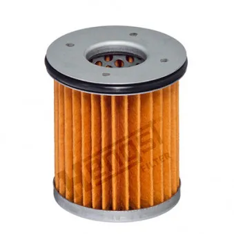 Filtre hydraulique, boîte automatique HENGST FILTER EG1096H