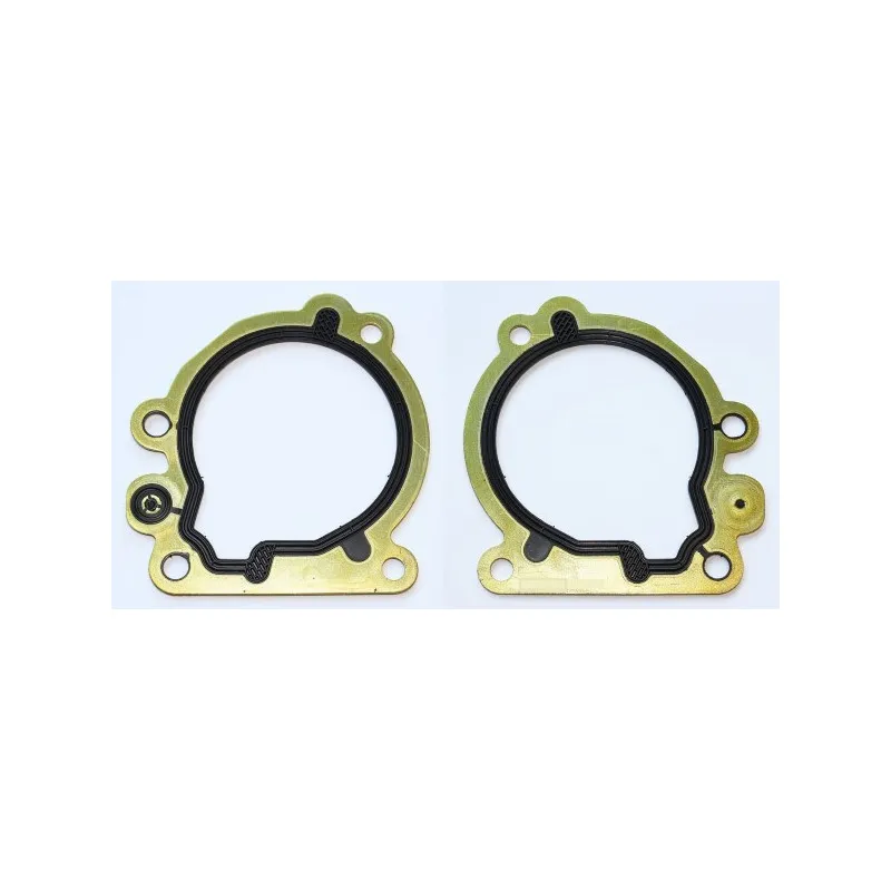 Joint d'étanchéité, pompe à carburant ELRING 246.460